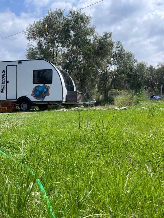 Bademli Caravan Garden Dikili Exteriér fotografie